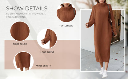 Turtleneck Raglan Sleeve Sweater Dress