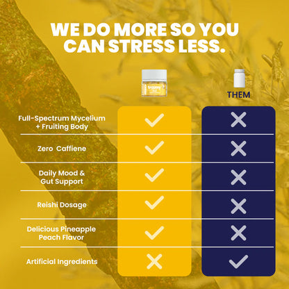 Troomy Nootropics Mushrooms Gummies
