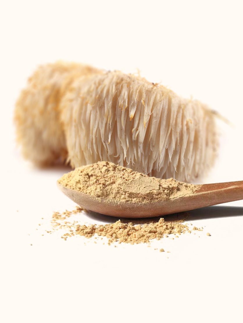 Organic Lion's Mane Mushroom Powder