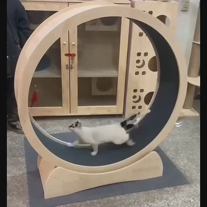 Cat Exercise Treadmill Roller