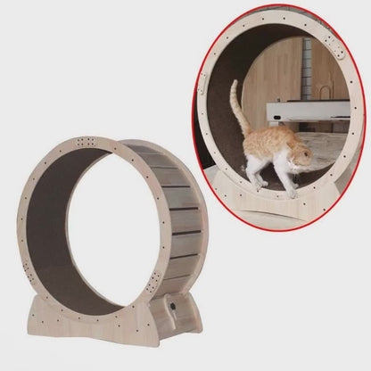 Cat Exercise Treadmill Roller