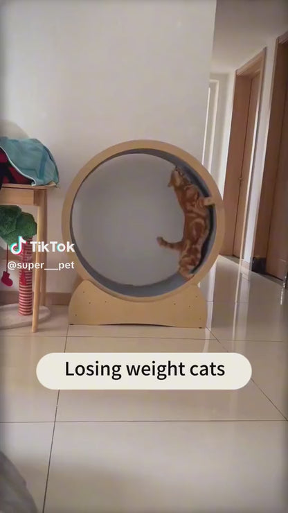 Cat Exercise Treadmill Roller