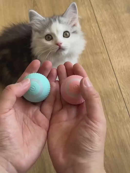 Smart Cat Automatic Rolling Ball