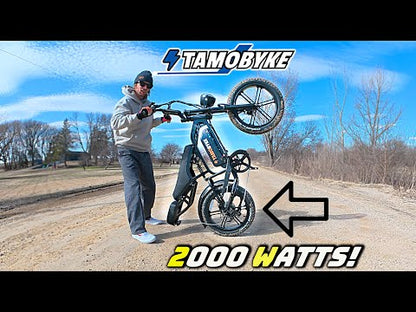 V20 Pro Electric Bicycle with 500W Motor