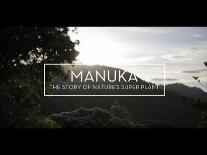 Manuka South Premium Whole Hive Health Bundle
