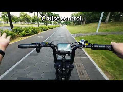 V20 Pro Electric Bicycle with 500W Motor