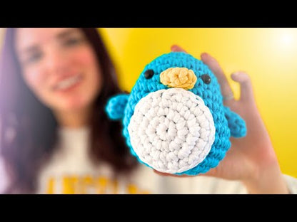 The Wobbles Beginner Crochet Kit