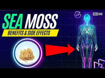 Sea Moss Gummies