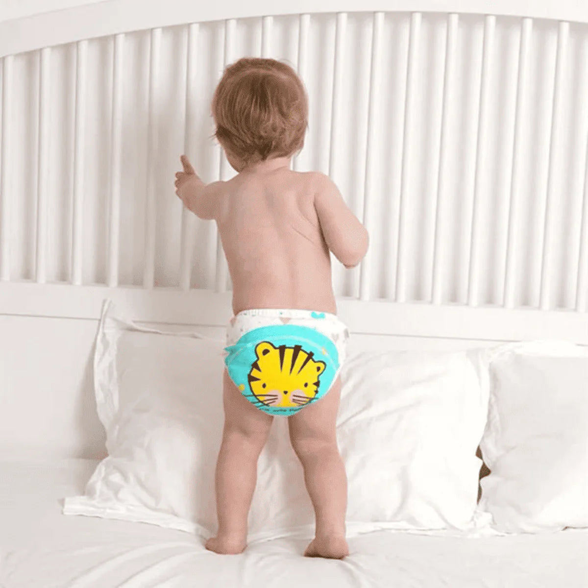 Baby Training Underwear ❤