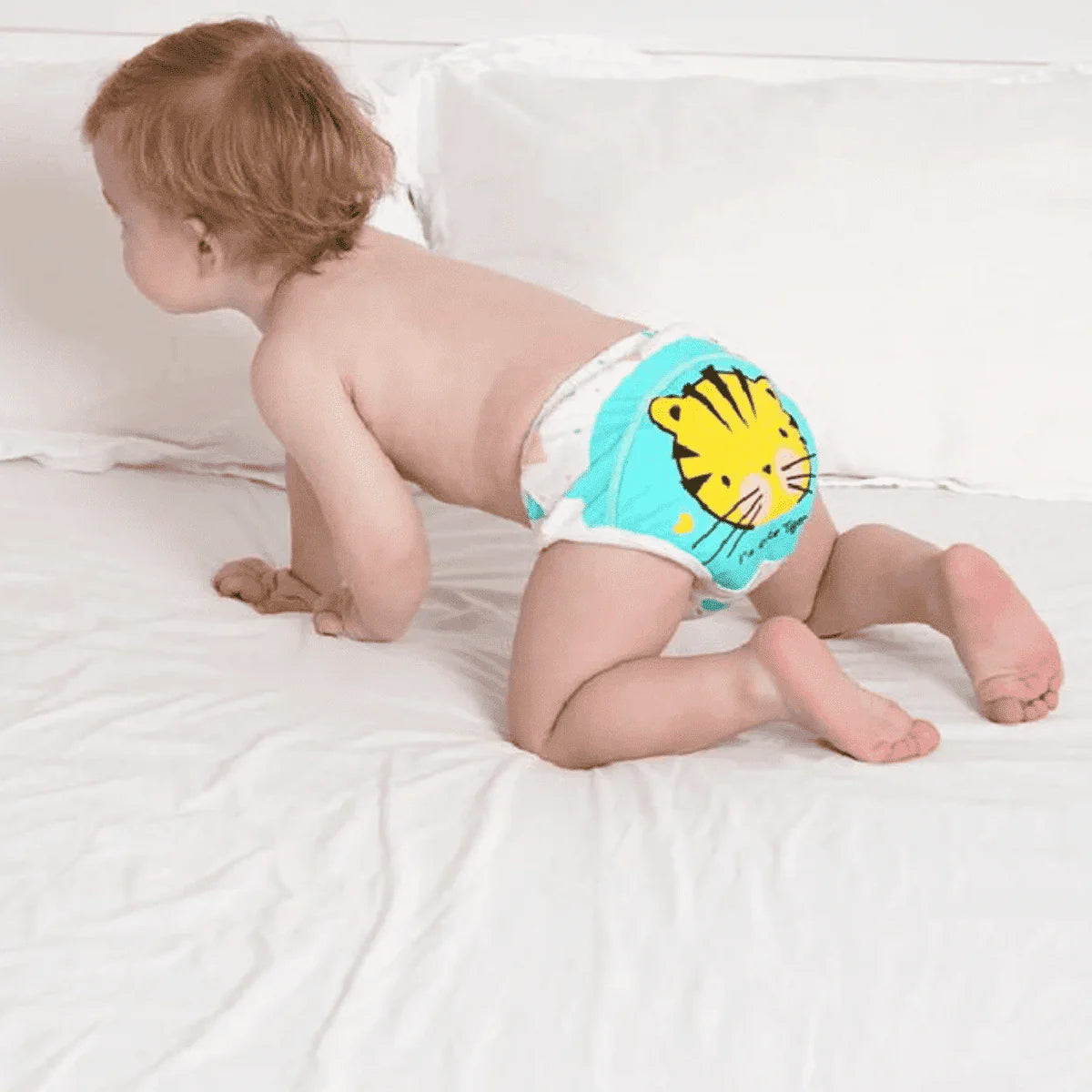 Baby Training Underwear ❤